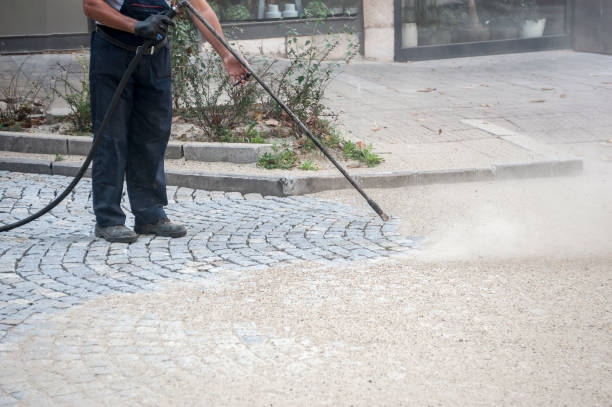 Best Fence Cleaning and Maintenance in USA